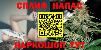 марихуана Кингисепп
