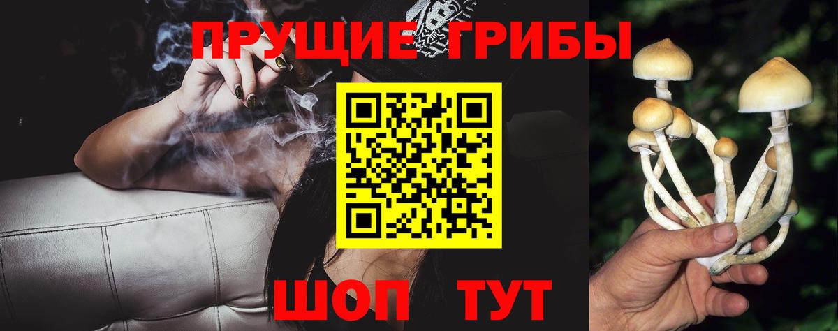 Крымск  Галлюциногенные грибы Psilocybe  Вход с VPN 